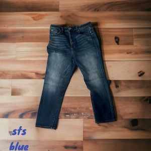 STS BLUE Paisley High Rise Ankle Straight Jean with Finished Hem Size 12 (31)